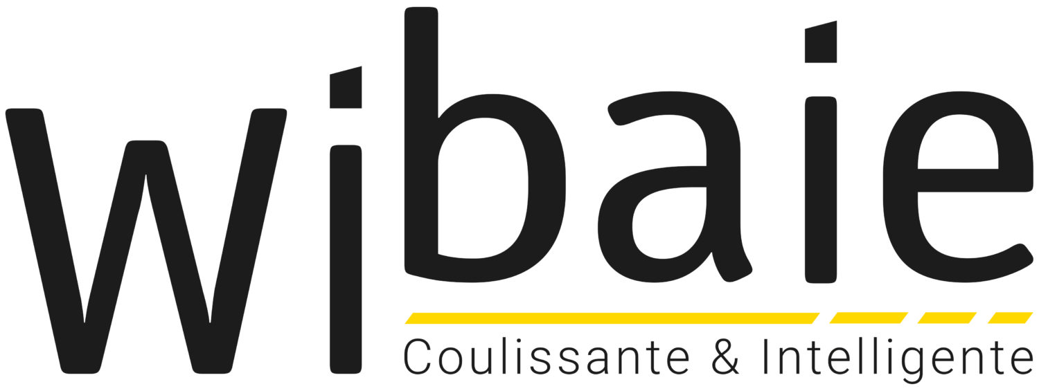 WIBAIE-COUL-jpg